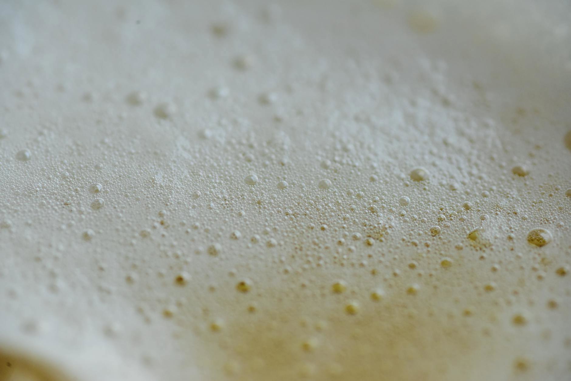 foam cleanser bubbles close-up