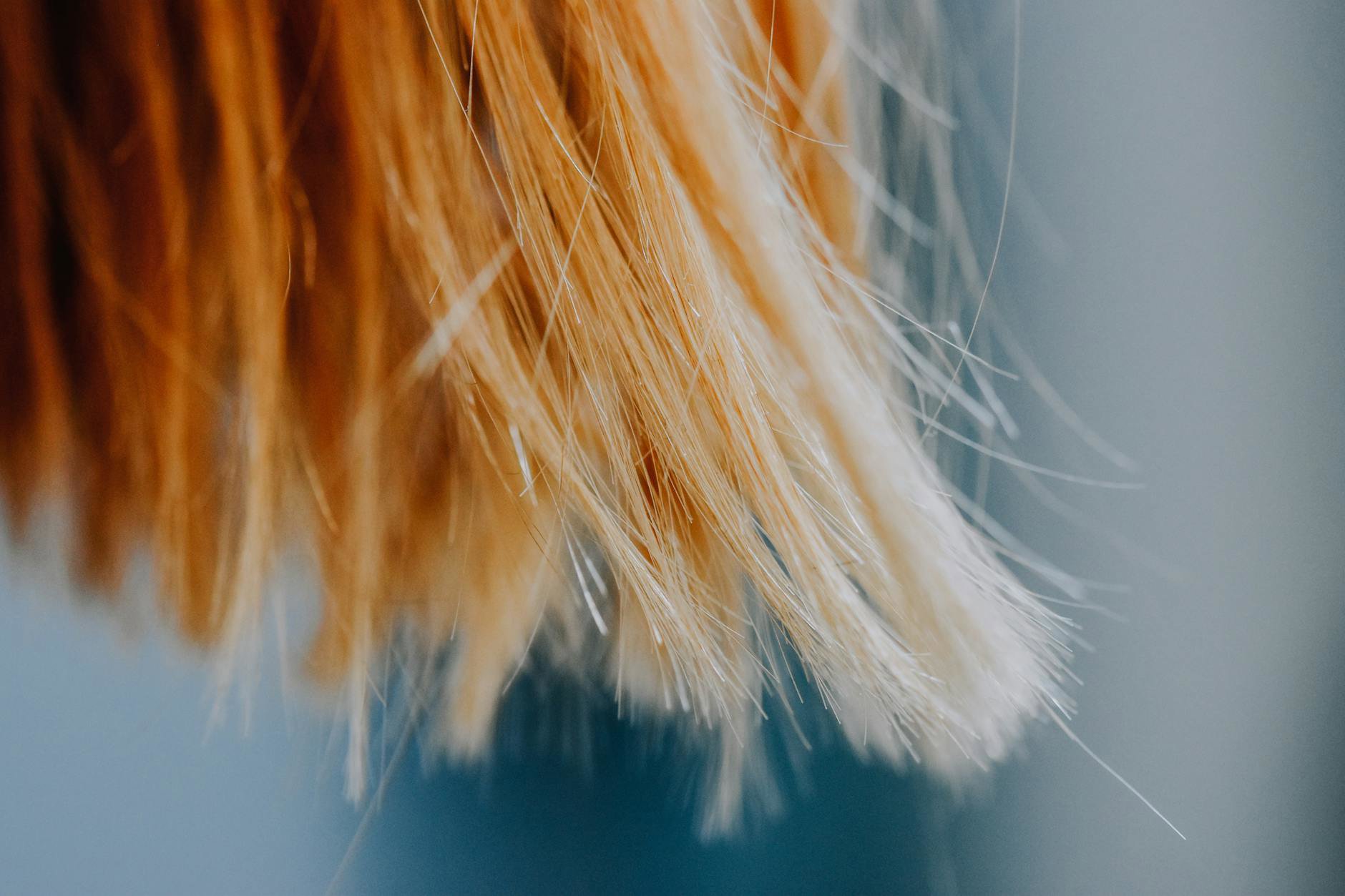 close up healthy shiny hair strands