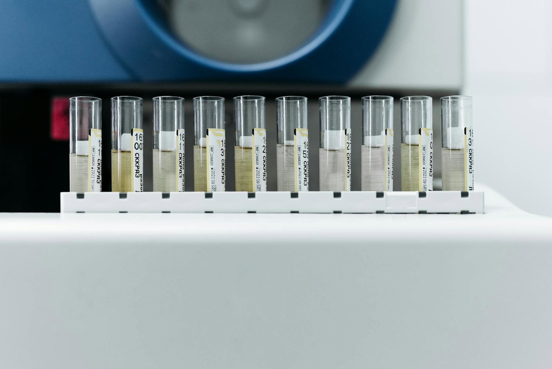 perfume testing strips and labelled samples flatlay