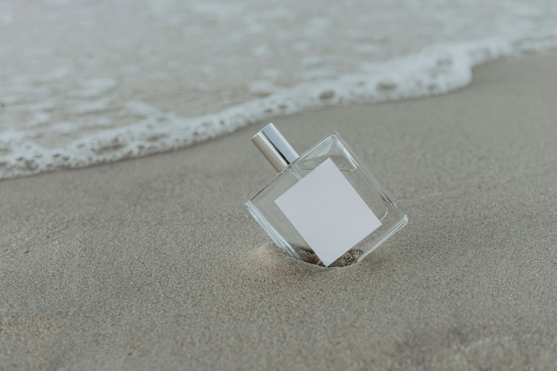 Parfums salés été 2026 : lesquels acheter (sans se tromper)