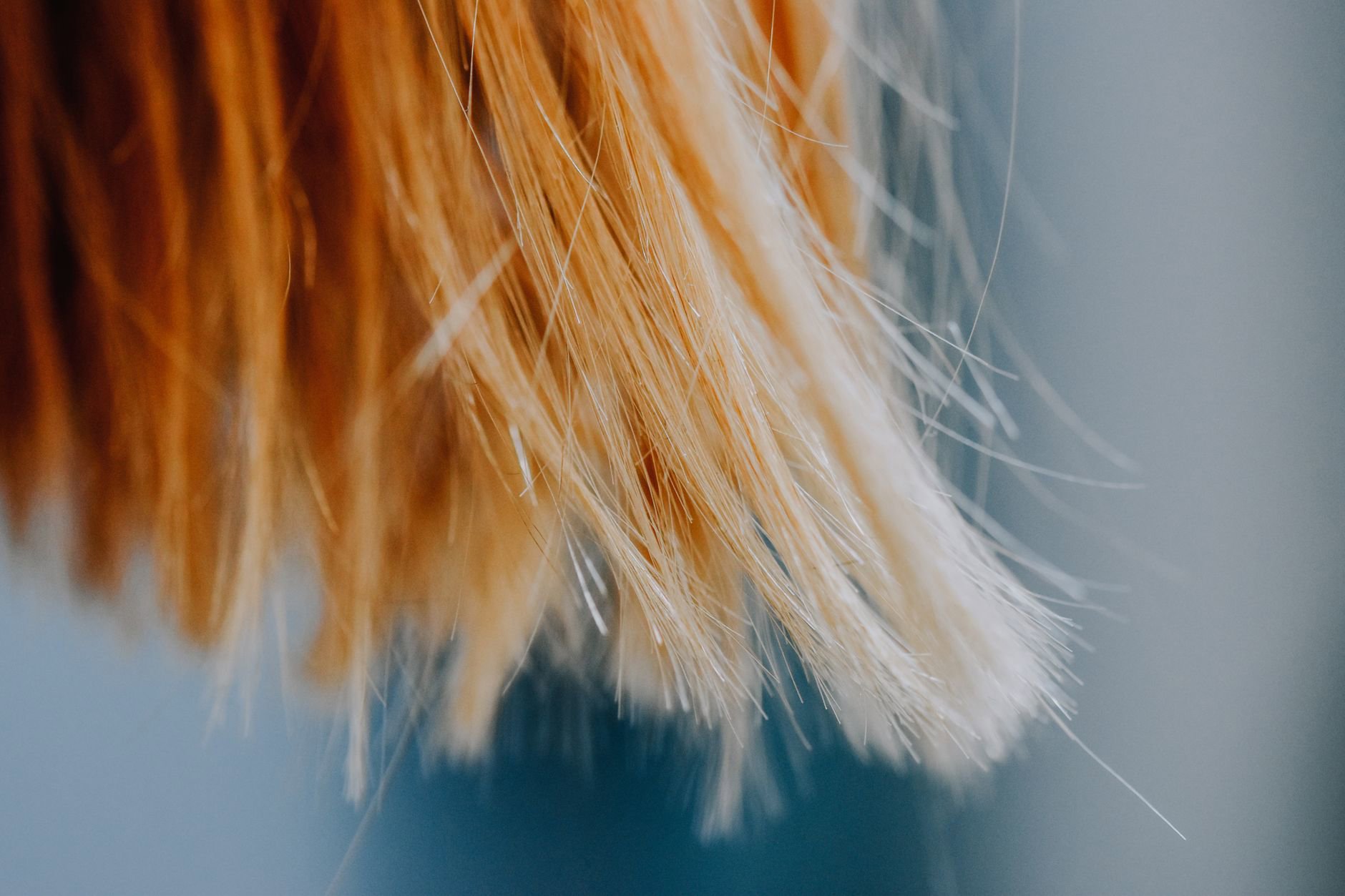 hair strand close up cuticle damage illustration