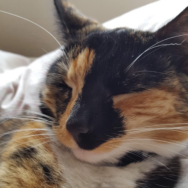 zoe_