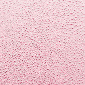Fresh Rose Instant Hydration Mist - Gesichtssprays 2