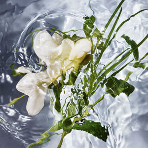 Guerlain Aqua Allegoria Herba Fresca Recargable