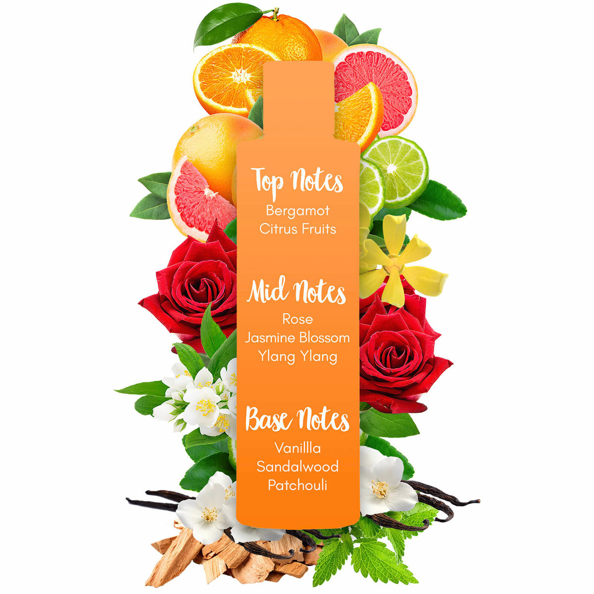 Sanctuary Spa Sanctuary Shower Oil