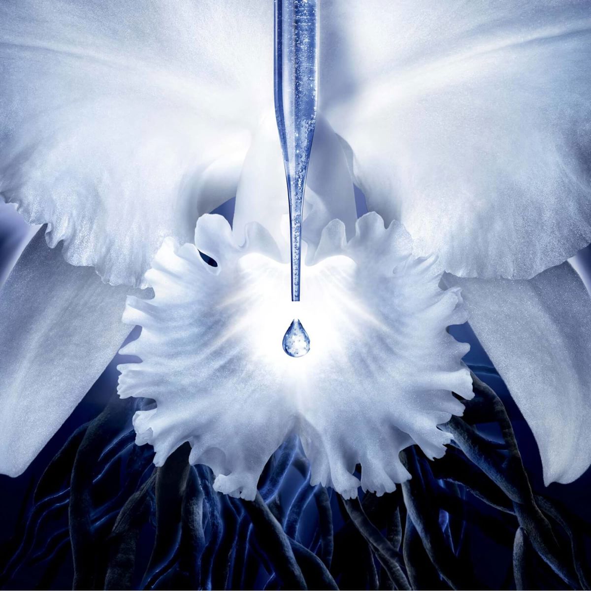 Guerlain Orchidée Impériale The Molecular Concentrate Eye Cream