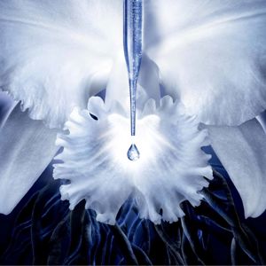 Guerlain Orchidée Impériale The Molecular Concentrate Eye Cream
