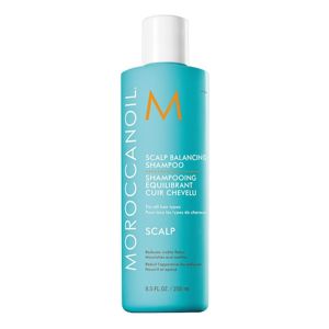 Moroccanoil Ausgleichendes Shampoo Für Die Kopfhaut