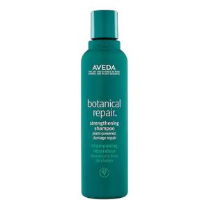 Aveda Botanical Repair