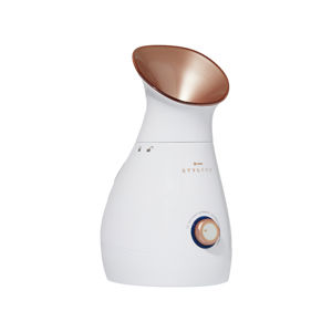 Stylideas 4 In 1 Facial Steamer