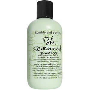 Bumble and bumble Seaweed Shampoo