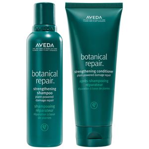 Aveda Botanical Repair Shampoo And Conditioner