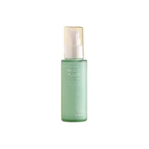 Beaudiani Moist Fluid