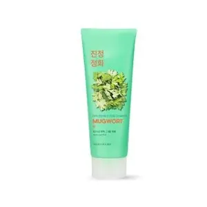 Holika Holika Pure Essence Mugwort Foam Cleanser