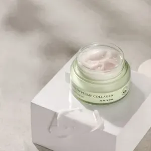 Mizon Phyto Plump Collagen Night Cream