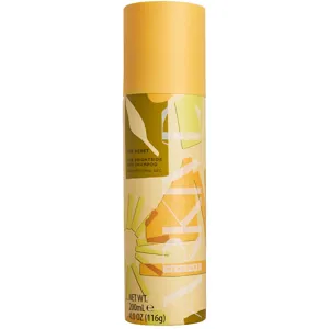ARKIVE Headcare Arkive Headcare The Reset Brightside Dry Shampoo