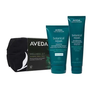 Aveda Hair Repair Wellness Set
