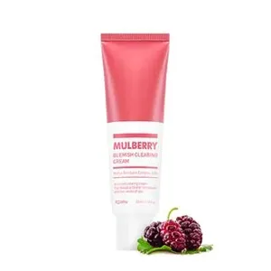 A'Pieu Mulberry Blemish Clearing Cream