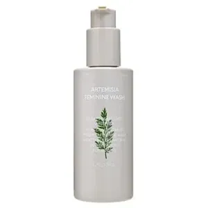 MISSHA Artemisia Feminine Wash