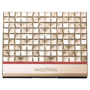 Shiseido Maquillage Case For Eye & Brow
