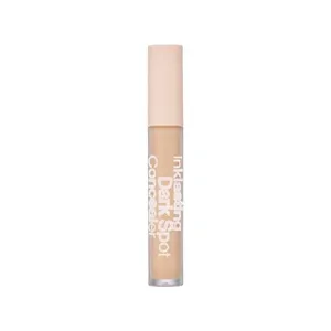 THE FACE SHOP Ink Lasting Dark Spot Concealer