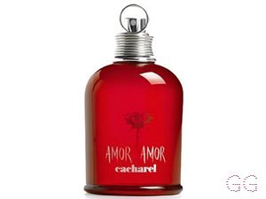 Amor Amor