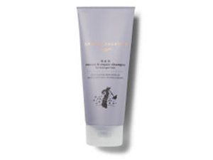 Repair Shampoo