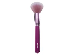 Mean Girls A01 Powder Brush