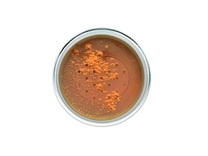 Peaches & Cream Setting Powder