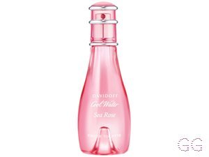 Cool Water Tender Sea Rose