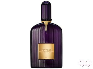 Velvet Orchid